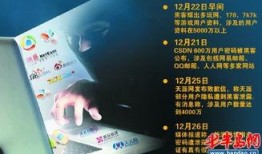 黑客爆料图片最新,揭秘最新网络攻击手段与安全漏洞