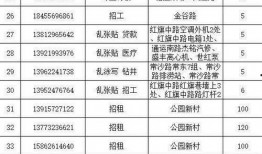 张家港今日爆料电话号码,揭秘神秘电话号码背后的故事