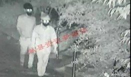 蒙面爆料人视频全集,揭秘娱乐圈幕后真相