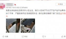 爆料养鸡套路有哪些呢视频,揭秘爆料养鸡套路