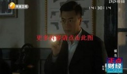 陕西卫视直播在线观看,实时掌握精彩瞬间，尽享视听盛宴