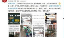 赣州高校爆料新闻事件真相,揭开校园疑云背后的真相