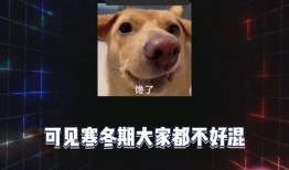 娱乐八卦吃瓜用的歌曲,跟着这些歌曲一起吃瓜狂欢！