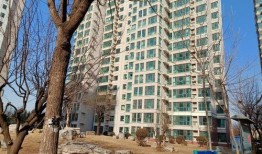 诸城半岛爆料最新消息,揭秘半岛发展新动态