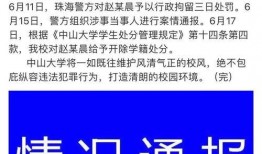 中山大学爆料事件最新,揭开校园隐秘真相的惊心动魄一幕