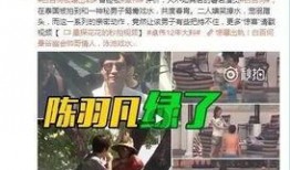 盘锦小奔事件爆料视频最新,揭秘背后惊人真相，网友热议不断