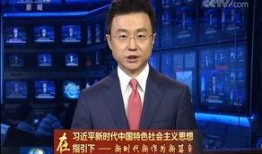 冰岛事件爆料新闻联播