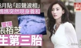 张柏芝狗仔爆料图片视频,真实生活瞬间曝光