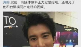 王力宏爆料 视频,揭秘娱乐圈不为人知的秘密