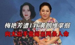 爆料娱乐圈向太,向太爆料揭露惊人内幕
