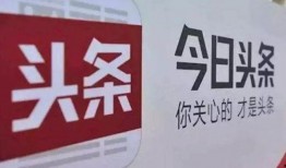 重庆今日头条新爆料文章,重大事件背后真相揭晓