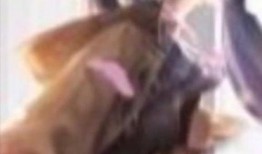 王者520情侣爆料视频,王者峡谷里的浪漫邂逅
