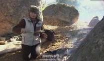 野外求生爆料视频,揭秘生存技巧与生存挑战