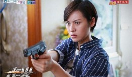 走火电视剧在线观看全集,揭秘神秘警队，热血侦破全纪录