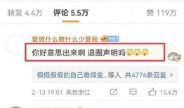 文轩粉丝爆料视频大全集,揭秘幕后故事与精彩瞬间