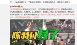 去年卓伟爆料了吗视频全集,揭秘娱乐圈幕后真相