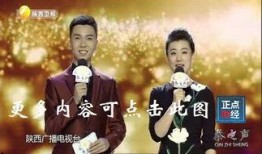 陕西卫视直播在线观看,实时掌握精彩瞬间，尽享视听盛宴