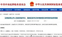 新闻爆料领导被查,调查正在进行中”