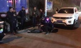 爆料庐山收费站事件视频,真相与争议交织