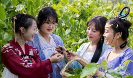 《心愿》在线观看,穿越时空的奇幻之旅，探寻内心深处的渴望