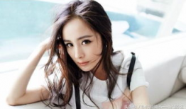 杨幂旗下艺人爆料视频,揭秘娱乐圈幕后真相