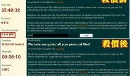 黑客爆料图片最新,揭秘最新网络攻击手段与安全漏洞