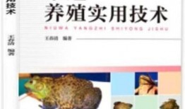 爆料牛蛙养殖技术视频大全,技术视频大全深度解析