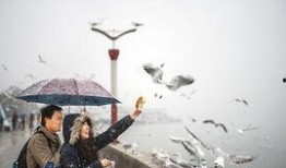 飞雪在线观看,穿越时空的浪漫邂逅