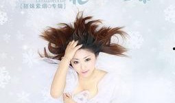 飞雪在线观看,穿越时空的浪漫邂逅