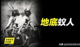 地底蚁人最新爆料,探寻神秘蚁穴世界的惊人真相