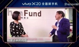 爆料徐小平视频播放全集,创业教父的智慧与人生感悟