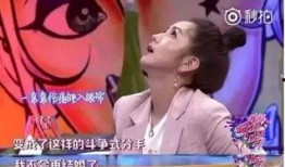何洁爆料录音视频,揭秘娱乐圈背后的真相与争议
