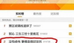卓伟爆料视频迅雷下载,揭秘娱乐圈幕后真相