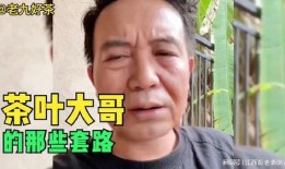 爆料茶叶大哥视频大全,揭秘茶叶世界的精彩瞬间