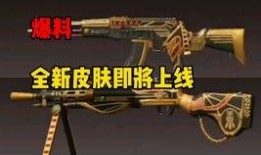 沙漠守护者爆料视频播放,揭秘沙漠生态保护背后的故事