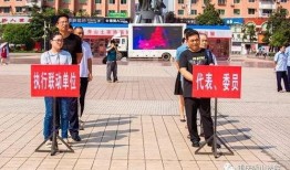 秀山县高中生爆料新闻,揭秘校园内幕，真相背后引人深思