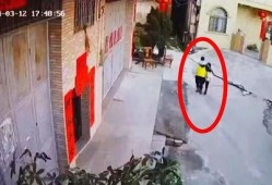 五华最新 爆料消息新闻,揭秘重大新闻事件背后的真相！”