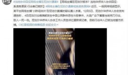 小胖网红爆料视频大全,揭秘幕后真相与趣味瞬间