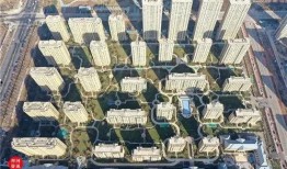 齐河绿城爆料事件最新,揭露背后真相与争议发酵