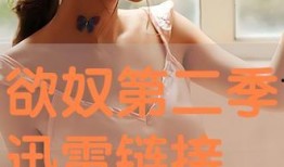 欲奴在线 观看,揭秘网络直播的诱惑与陷阱