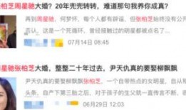 香港老记者爆料视频播放,视频播放背后的惊人真相