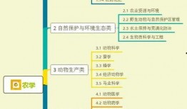 温泉热点爆料视频大全集,热点爆料视频大全集深度解析