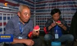 00后老大爷爆料新闻事件,一场意想不到的爆料风暴