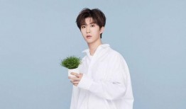 爆料任嘉伦范丞丞视频播放,播放量激增引热议