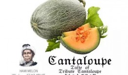 qq网红吃瓜推荐,揭秘热门事件背后的真相